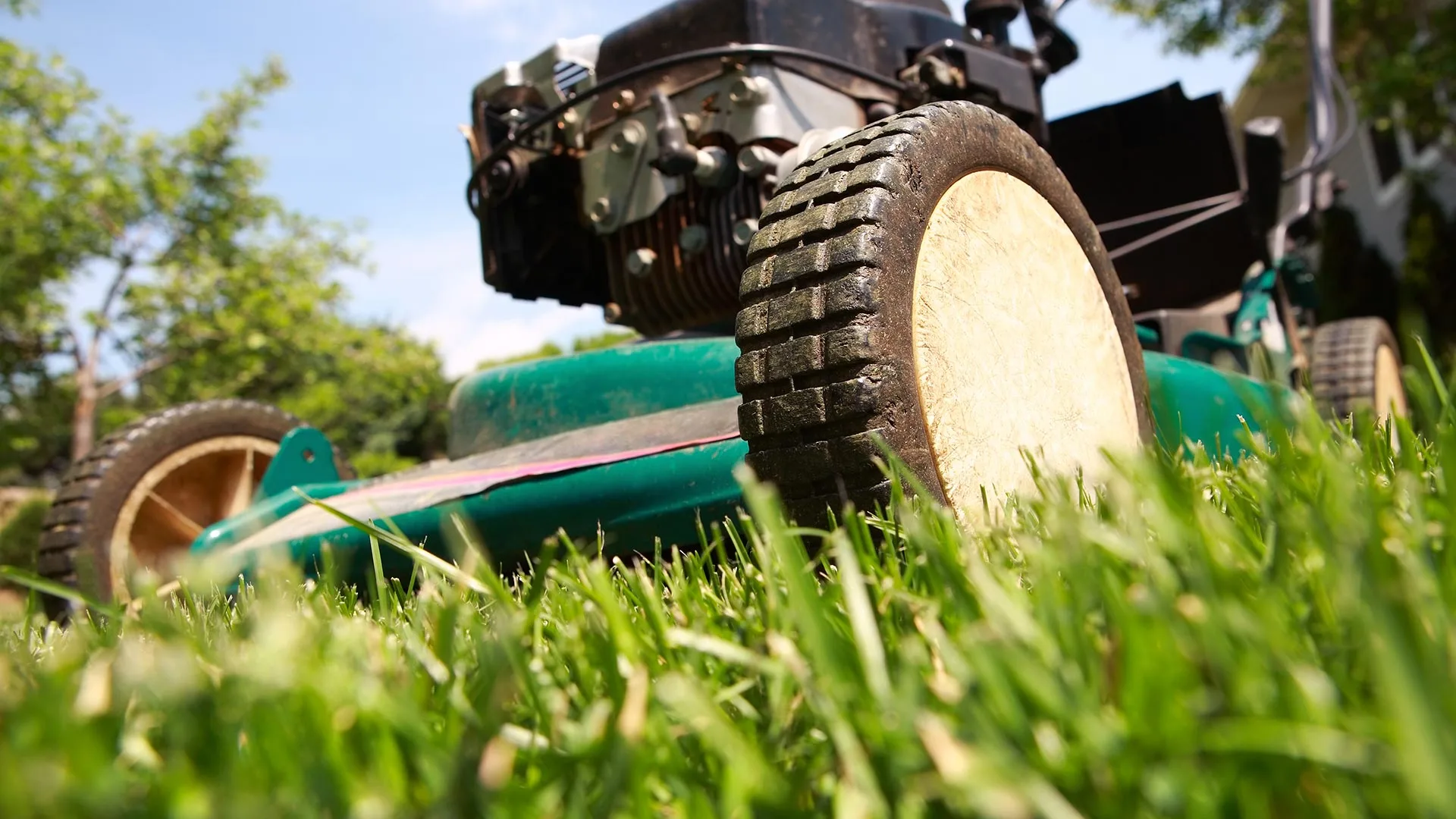Follow These 3 Rules When Mowing Your Sod for the First Time