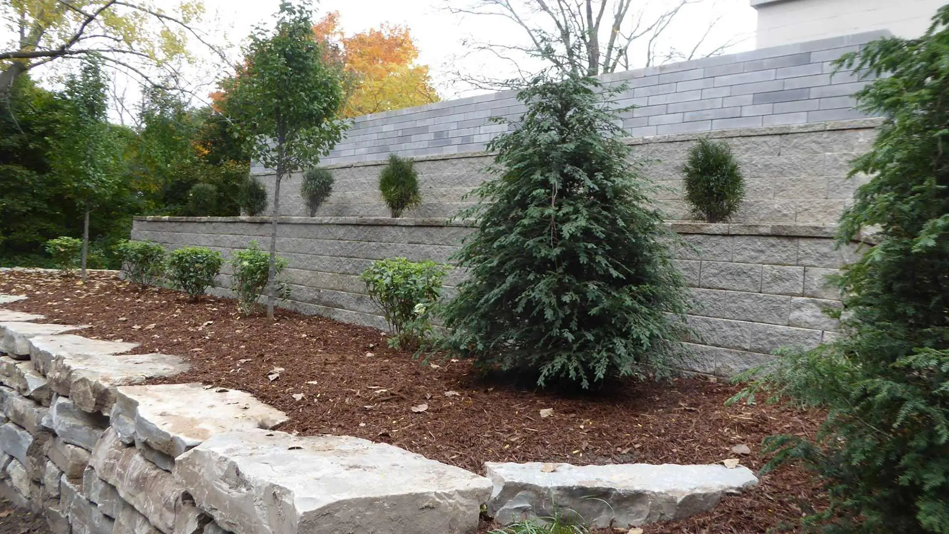 Tiered retaining wall with mulching planting fill.