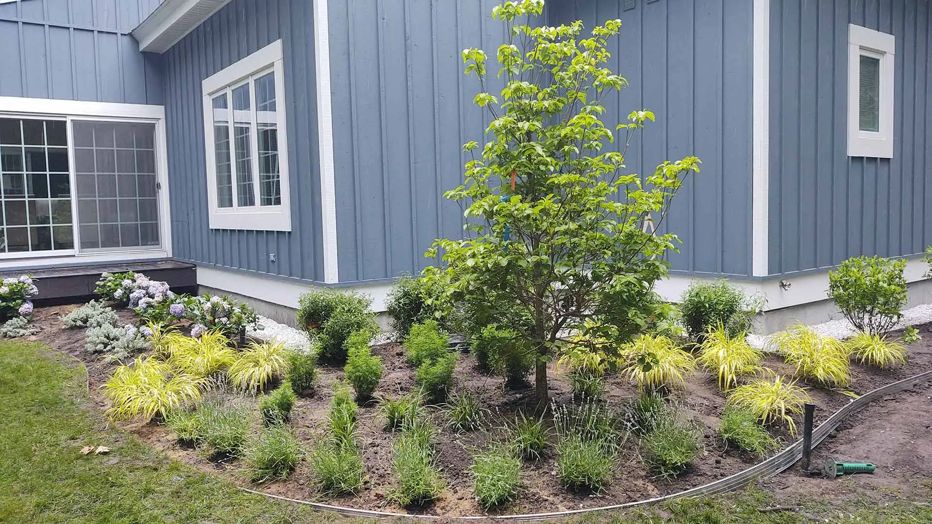 Want to Add New Plants in Your Landscape Beds? Consider These 3 Things