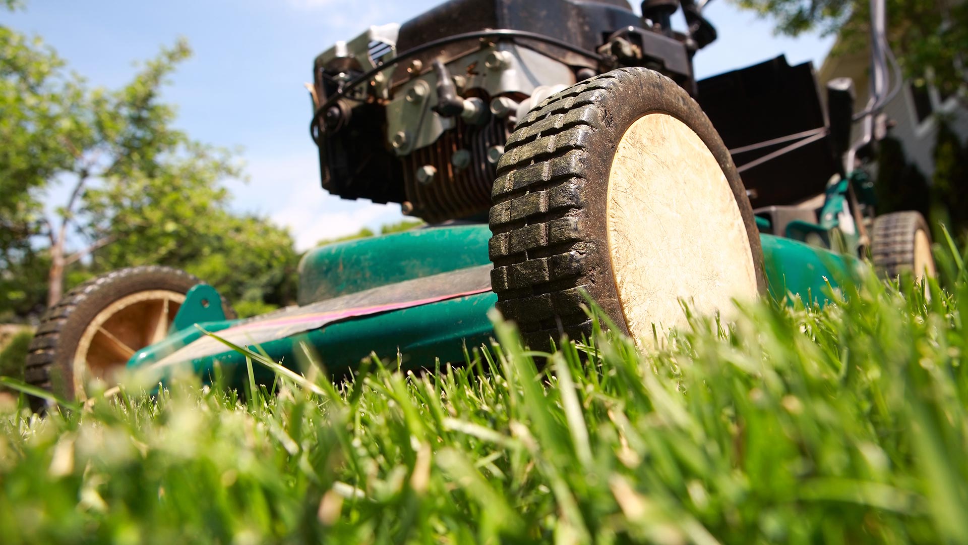Follow These 3 Rules When Mowing Your Sod for the First Time