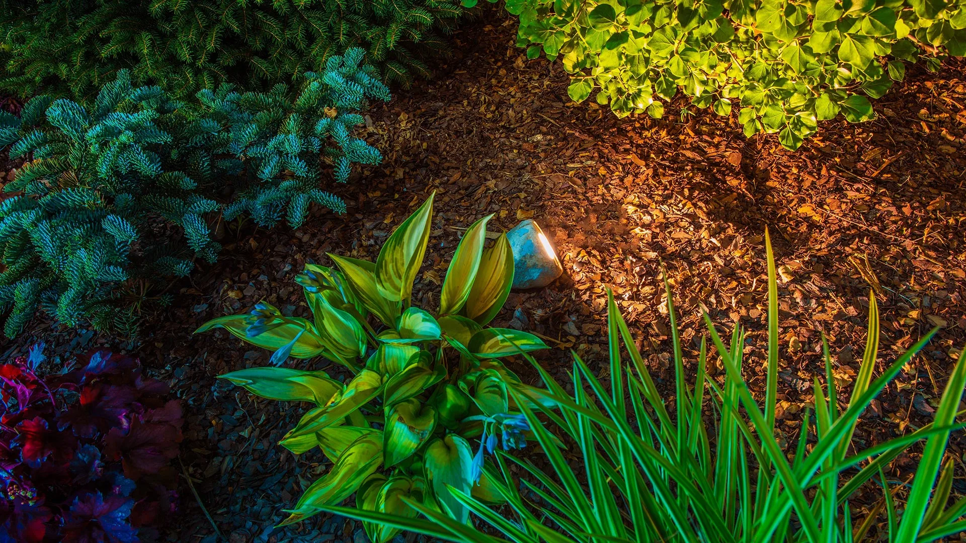 3 Landscape Lighting Techniques That Will Upgrade Your Curb Appeal