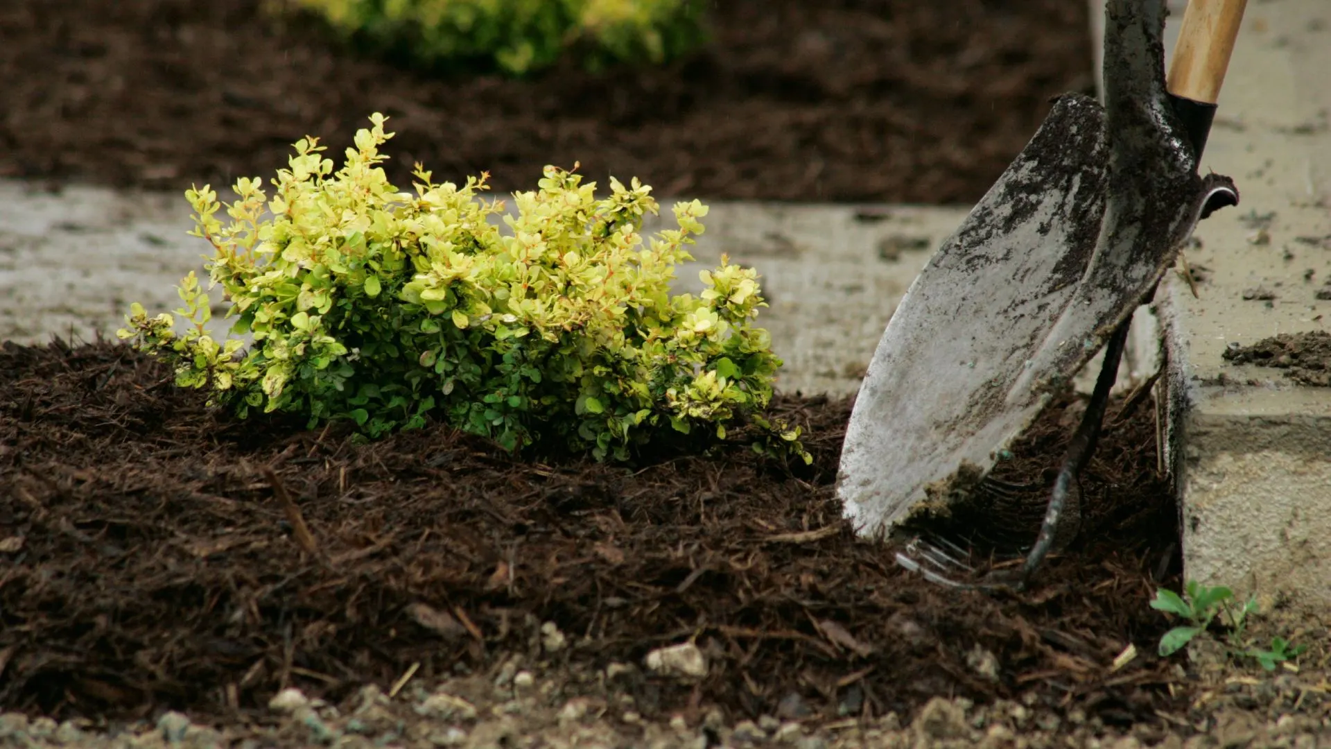 One of the Most Important Landscaping Tasks You Can't Forget This Spring