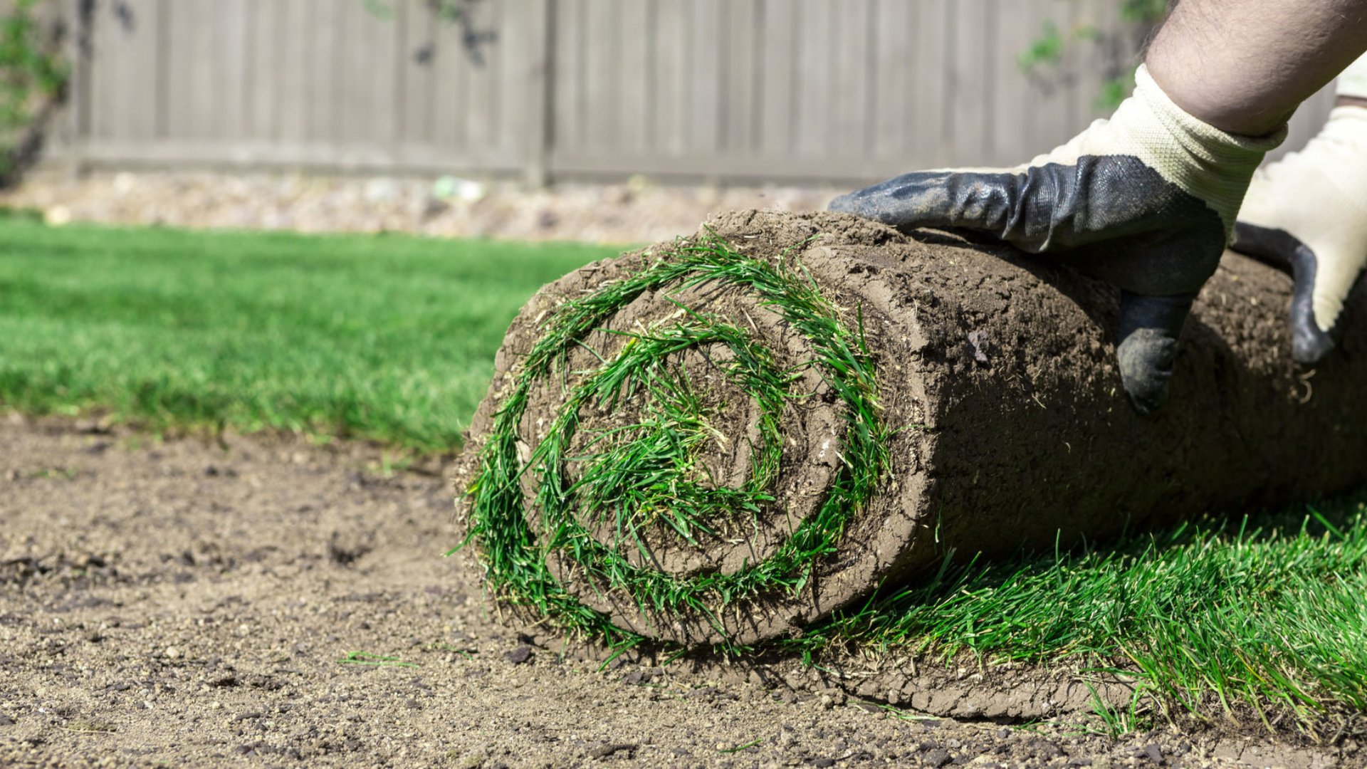 What Type of Sod Is Best for Establishing a New Lawn in Michigan?
