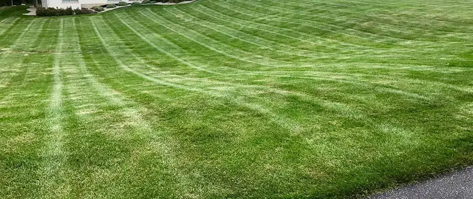 Lawn in Cascade, Michigan with proper lawn mowing services.