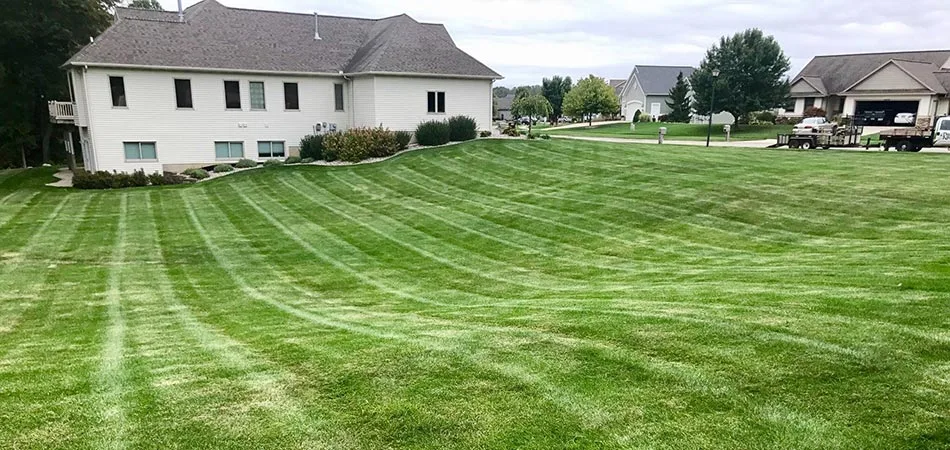 Freshly mowed Walker, MI home property with visible mowing lines.