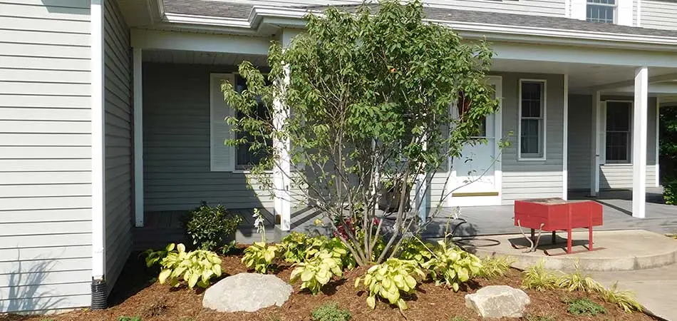 Home entryway with mulch bed and tree landscaping in Ada, MI.