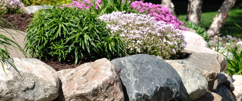 Landscape bed with boulders in Grand Haven, MI.