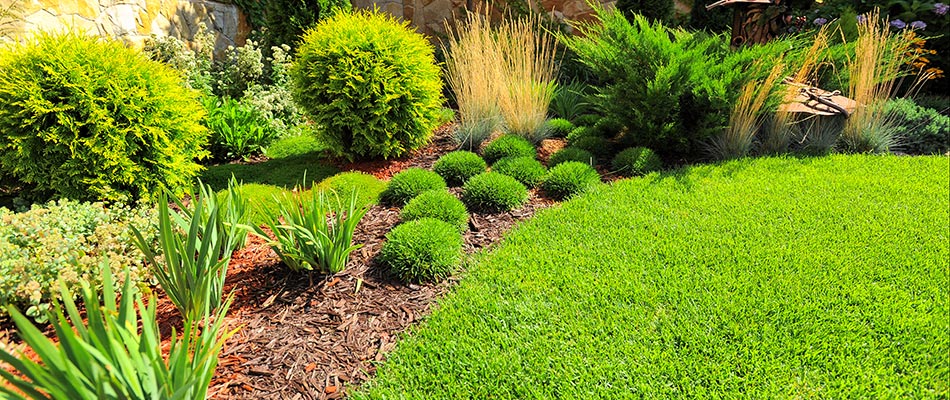 Edged landscape bed with mulch ground covering in Ada, MI.