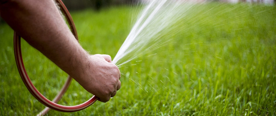 Hand watering lawn with red hose in Comstock Park, MI.