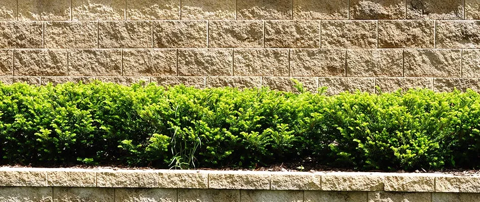 The beautiful brick and concrete materials this retaining wall is made from in Ada, MI.